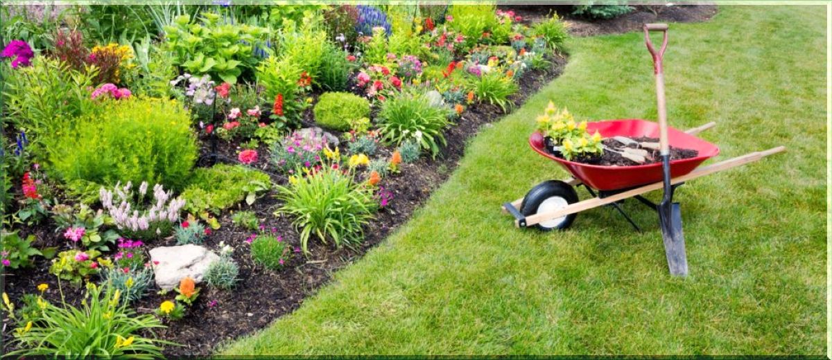 mantenimiento de jardines en lloret