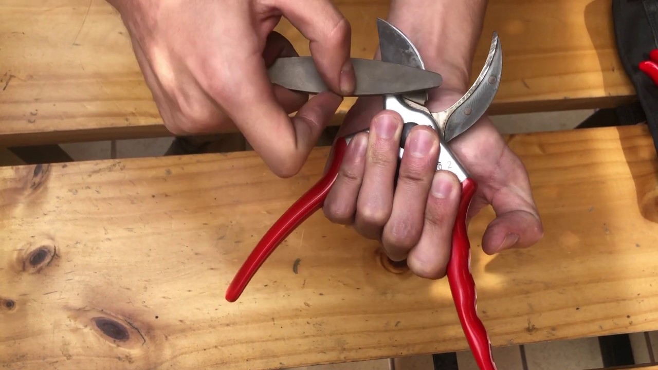 Como afilar las cuchillas de tijeras de podar y otros utensilios de jardineria