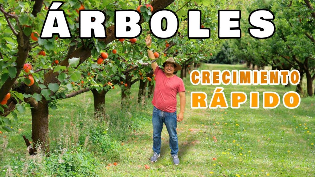 Como aplicar fertilizante a los arboles de jardin durante la temporada de crecimiento