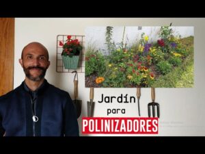 Como-crear-un-jardin-de-plantas-para-atraer-a-las-mariposas-del-jardin