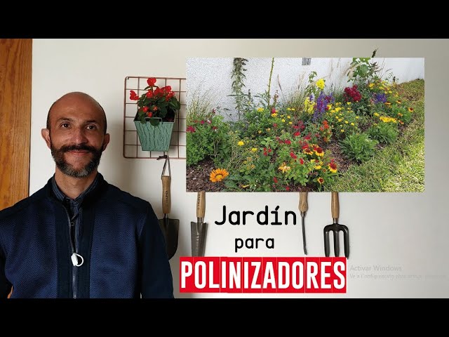 Como crear un jardin de plantas para atraer a los polinizadores nativos
