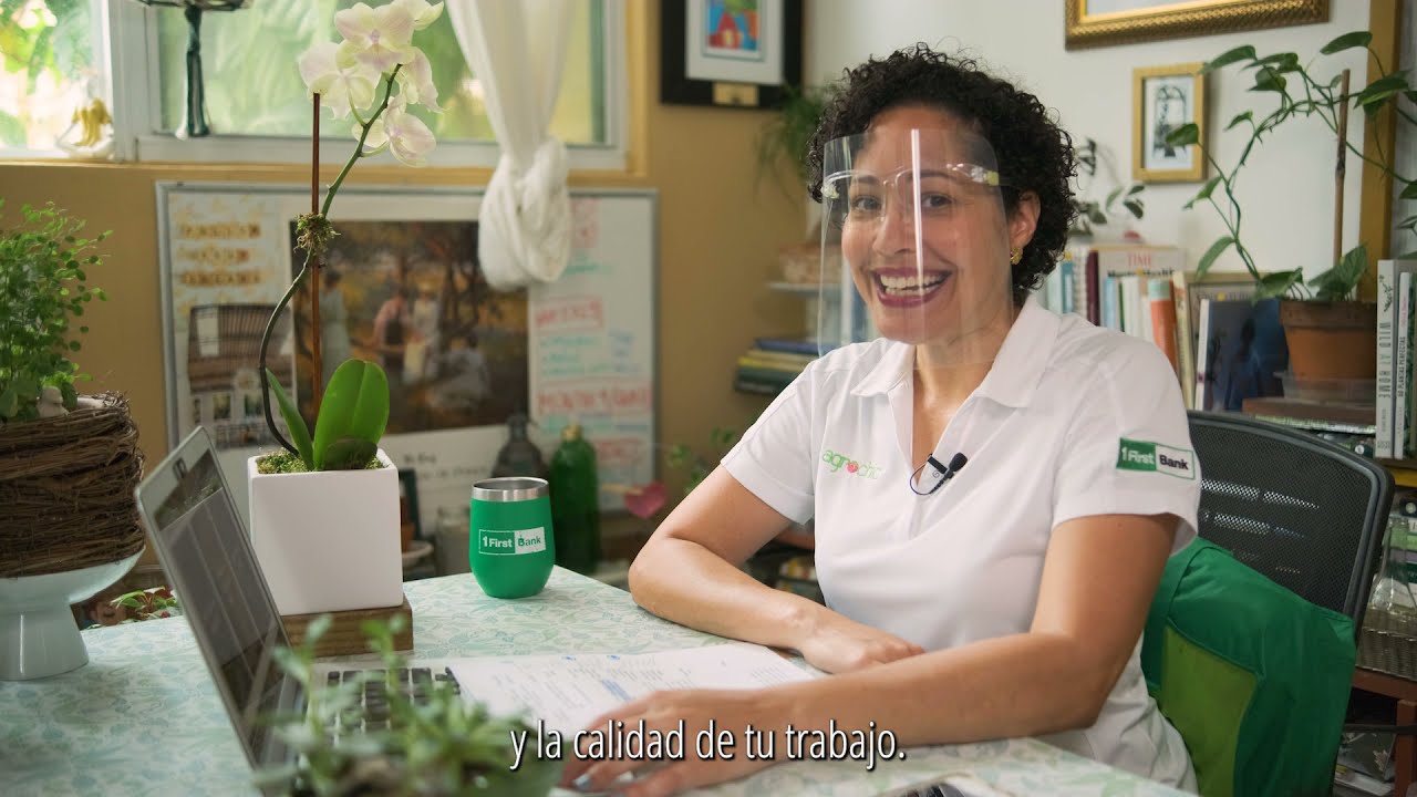 Como cultivar plantas en macetas para adornar el escritorio de trabajo