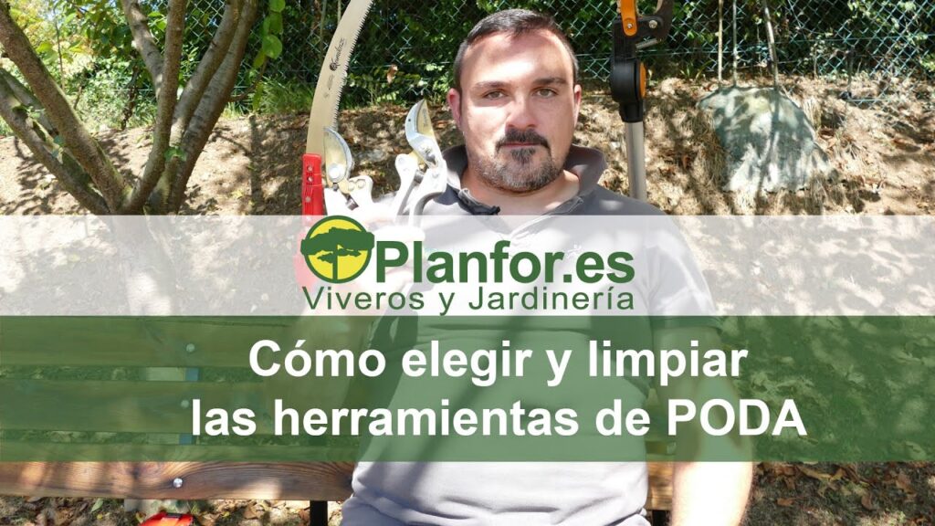 Como elegir la mejor sierra de poda para tus necesidades