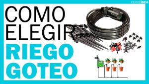 Como-elegir-una-herramienta-de-riego-automatico-para-ahorrar-tiempo-y-esfuerzo