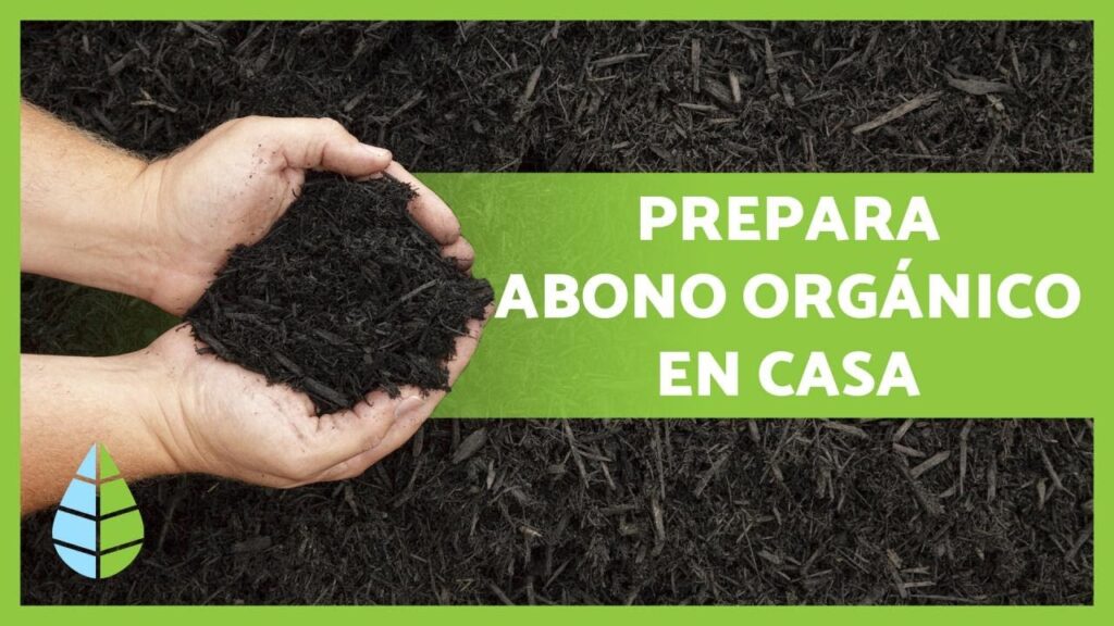 Como hacer abono organico para tus arboles de jardin