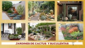 Como-hacer-un-jardin-de-cactus-en-casa