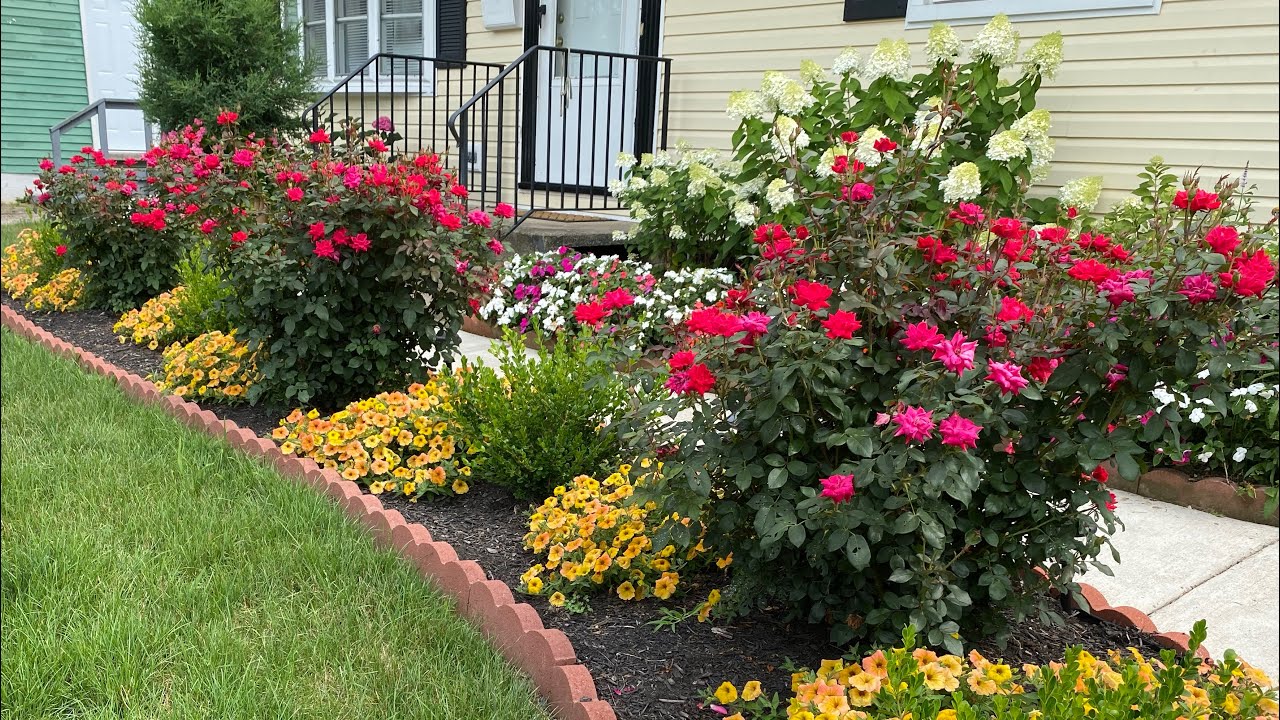 Como hacer un jardin de plantas de la familia de las rosas en casa