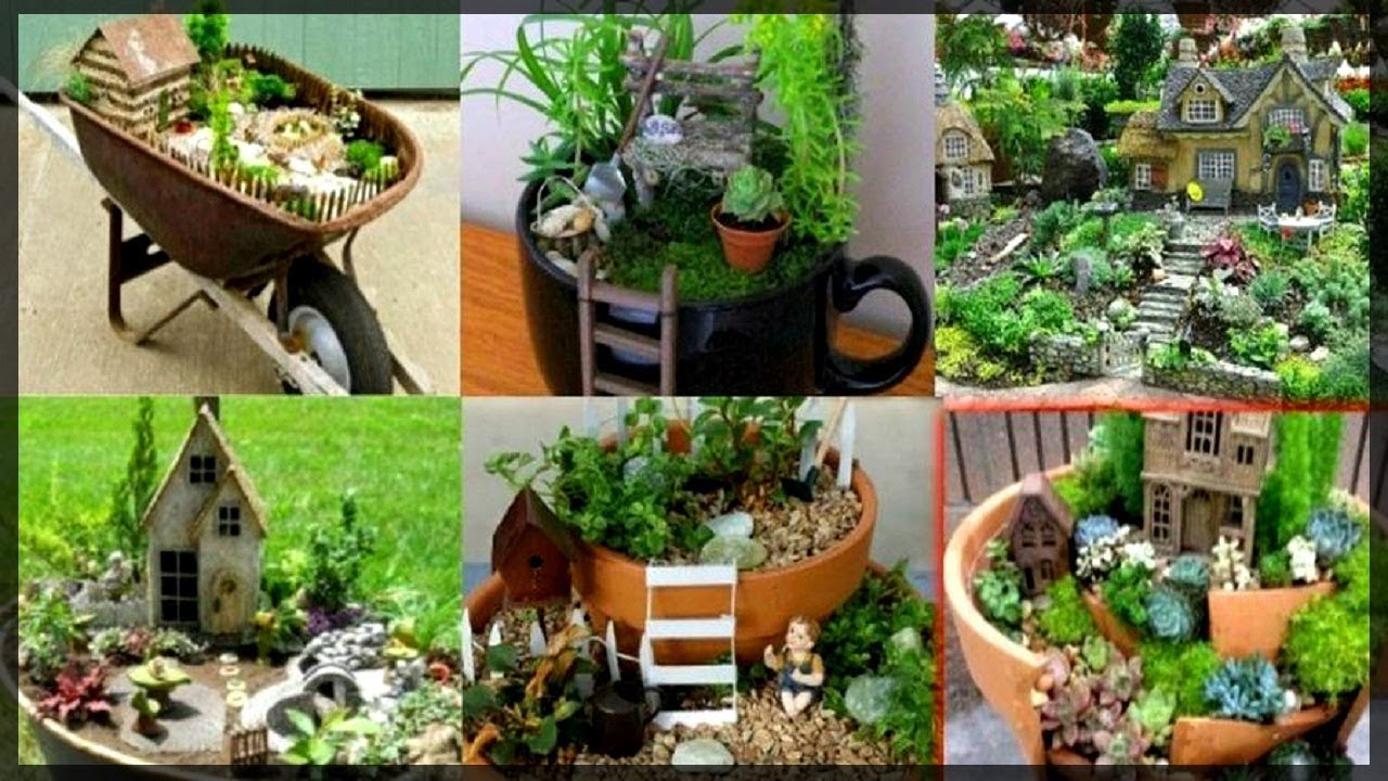 Como hacer un jardin de plantas exoticas en casa