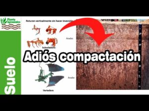 Como-identificar-y-tratar-la-compactacion-del-suelo-en-tu-jardin