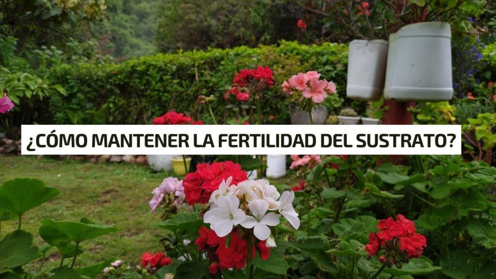Como mantener la fertilidad del suelo en jardines de larga duracion