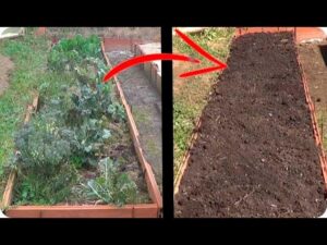 Como-preparar-la-tierra-para-plantar