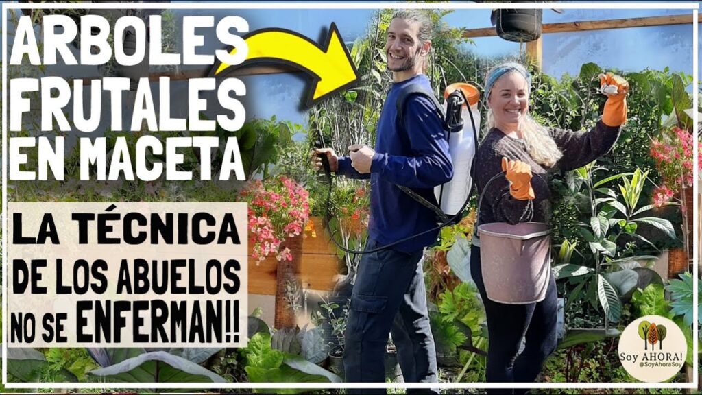 Como prevenir y tratar la podredumbre blanda en los arboles frutales