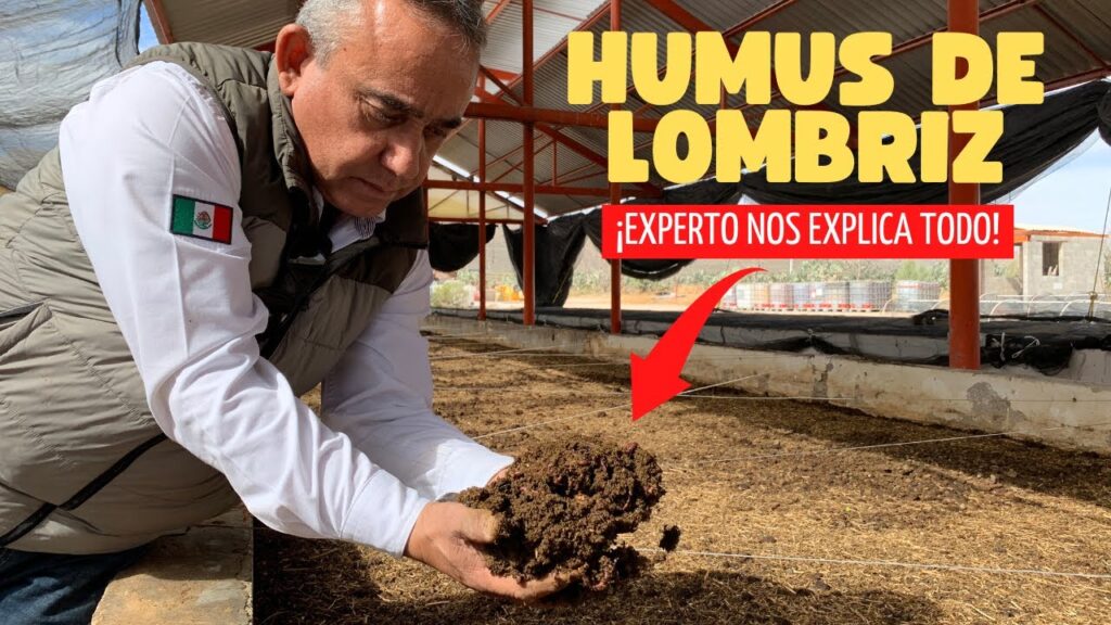 Como utilizar compost de lombriz para mejorar la calidad de la tierra