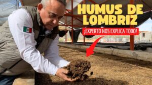 Como-utilizar-compost-de-lombriz-para-mejorar-la-calidad-de-la-tierra
