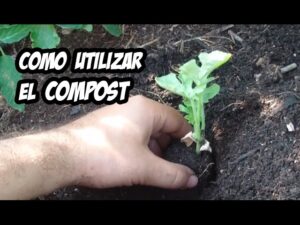 Como-utilizar-el-compost-en-el-jardin-para-mejorar-el-crecimiento-de-las-plantas