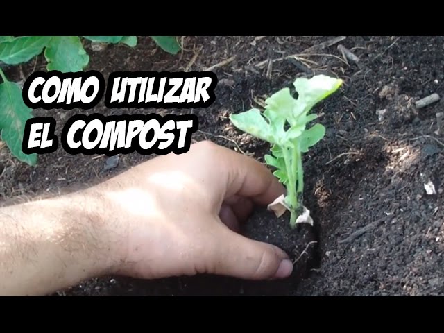 Como utilizar el compost en el jardin para mejorar el crecimiento de las plantas