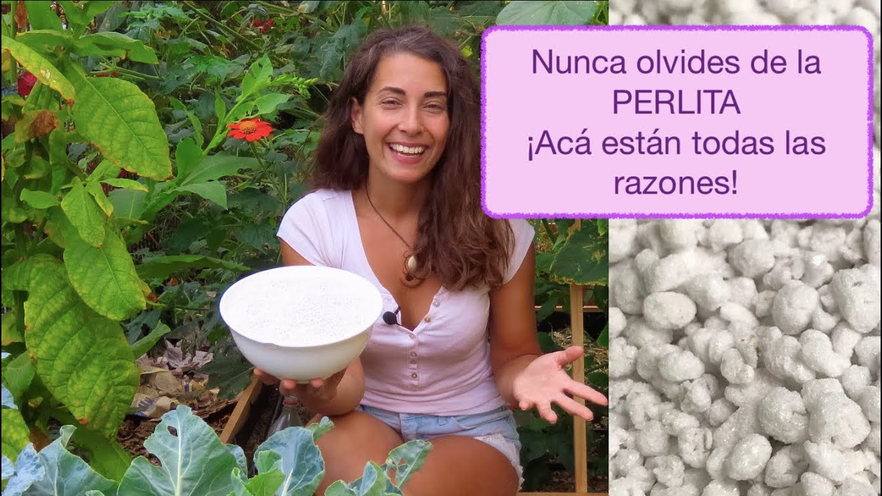 Como utilizar el extracto de suelo de tierra de vermiculita como fertilizante para tus plantas de jardin