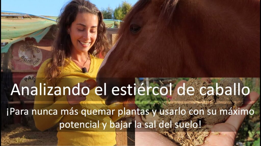 Como utilizar el extracto de te de estiercol de caballo como fertilizante para tus plantas de jardin