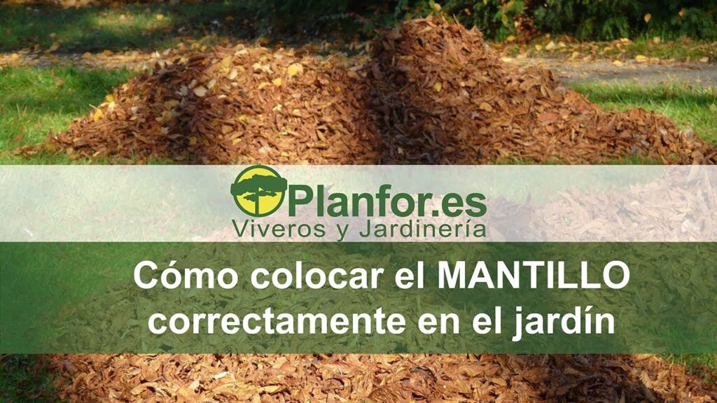 Como utilizar mantillo para proteger la tierra y las plantas en tu jardin