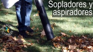 Como-utilizar-un-soplador-de-hojas-para-mantener-el-jardin-limpio