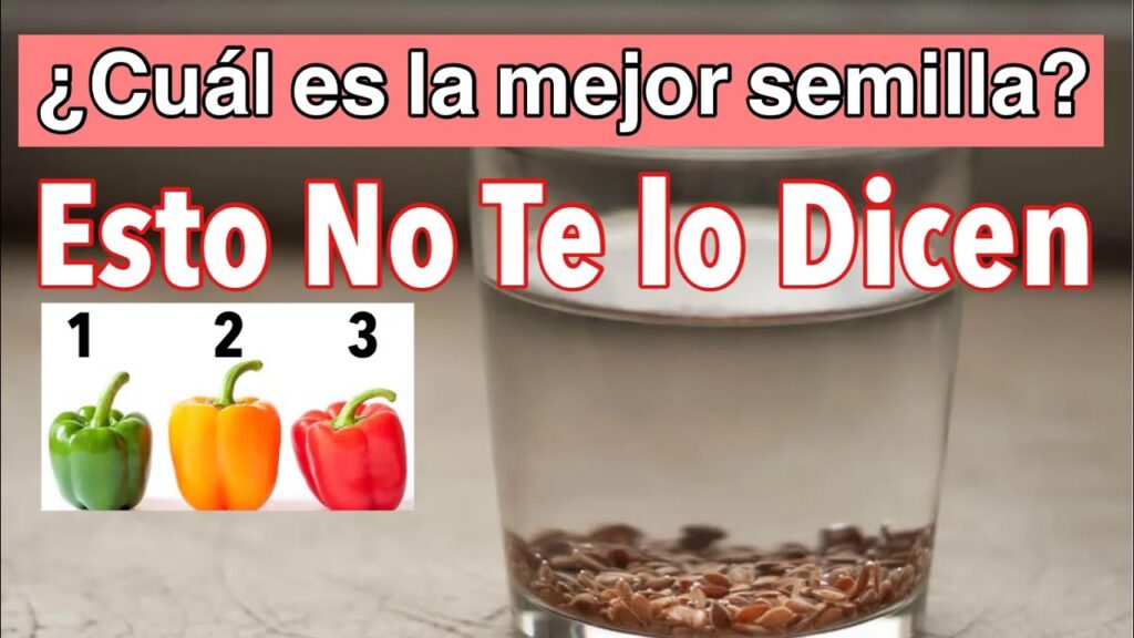 Consejos para elegir las mejores semillas para tu jardin