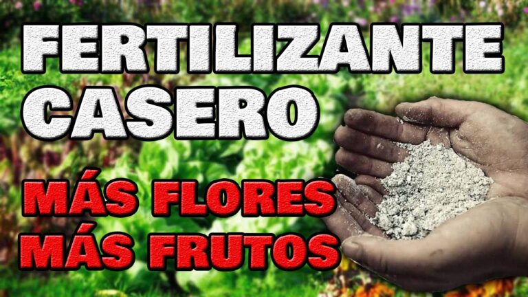 Descubre Los Mejores Consejos Para Fertilizar Tus Plantas Con Ceniza De Madera En El Jard N