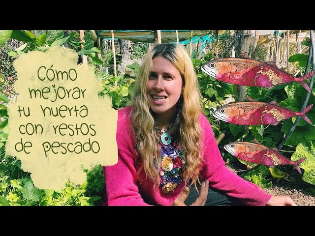 Consejos para fertilizar tus plantas de jardin con restos de pescado