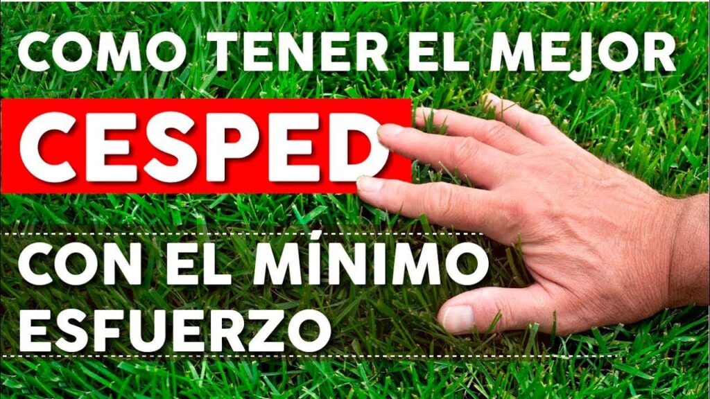 Consejos para mantener tu cortacesped en buen estado durante el verano