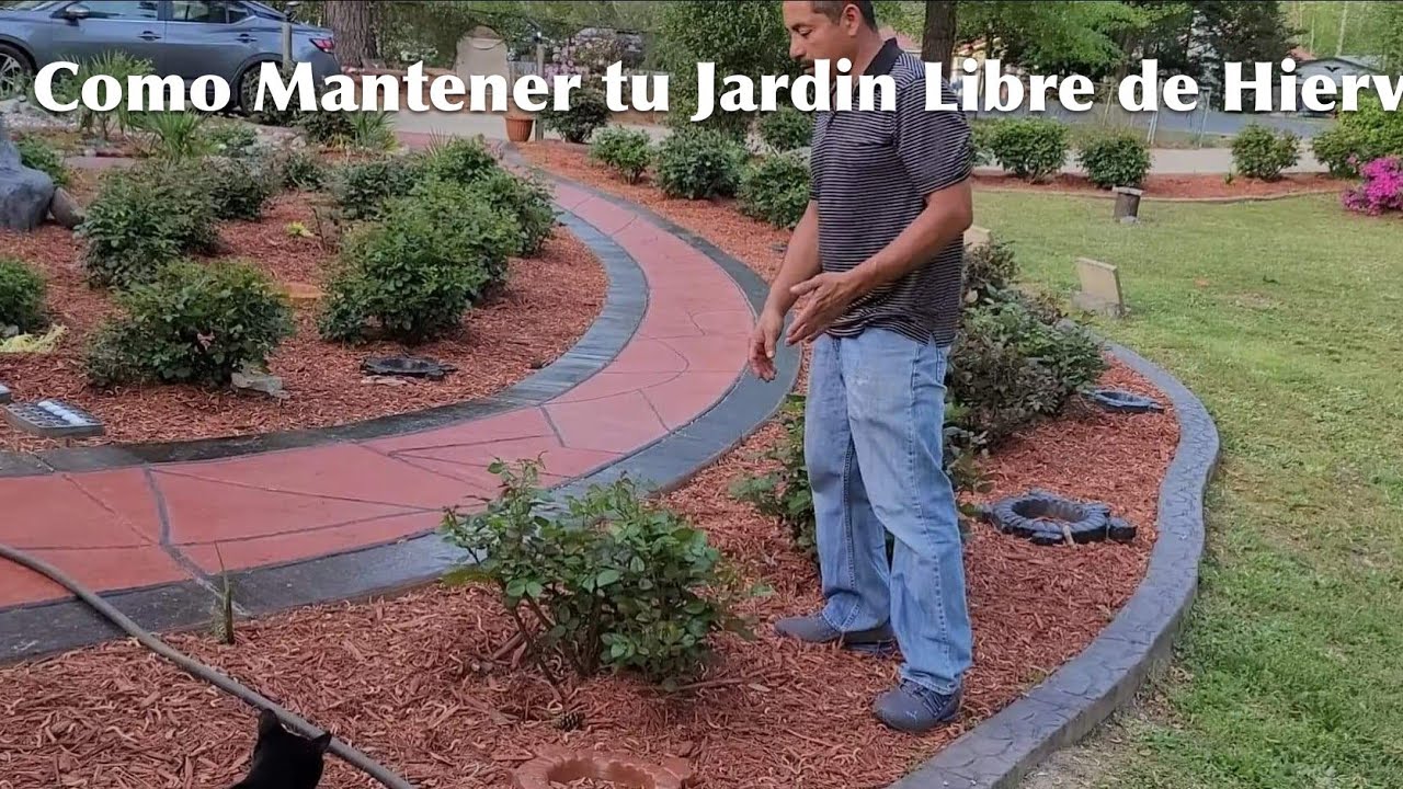 Consejos para mantener tu jardin libre de malas hierbas