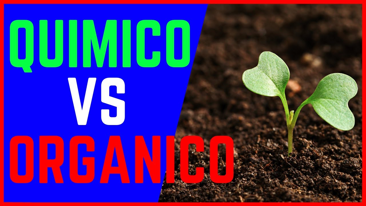 Guia para elegir el mejor fertilizante quimico para su jardin