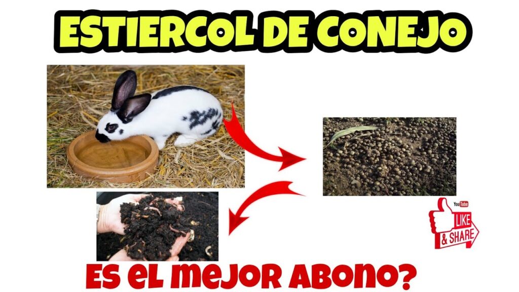 Los beneficios de utilizar abono de conejo liofilizado en tus plantas de interior y exterior