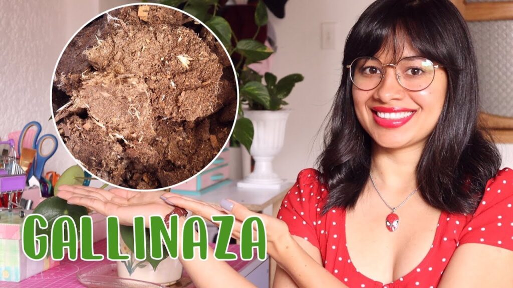 Los beneficios de utilizar abono de gallina en tus plantas de interior y exterior