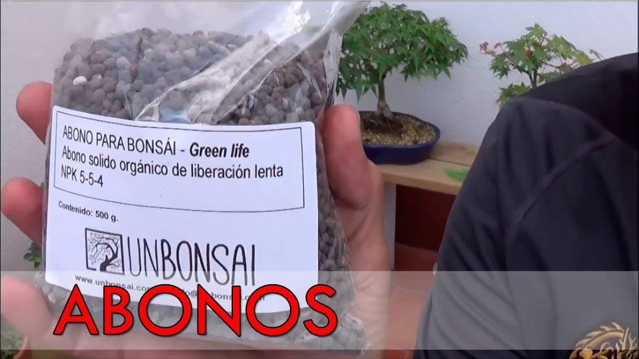 Los mejores fertilizantes para plantas de bonsai