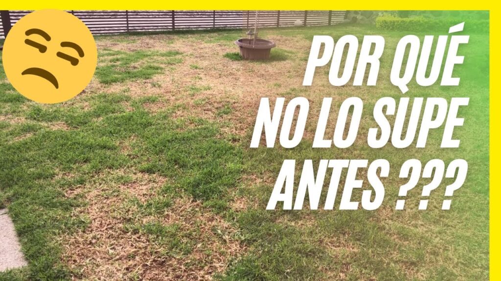 Los mejores fertilizantes para plantas de cesped