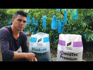 Los-mejores-fertilizantes-para-plantas-de-frutas-y-bayas