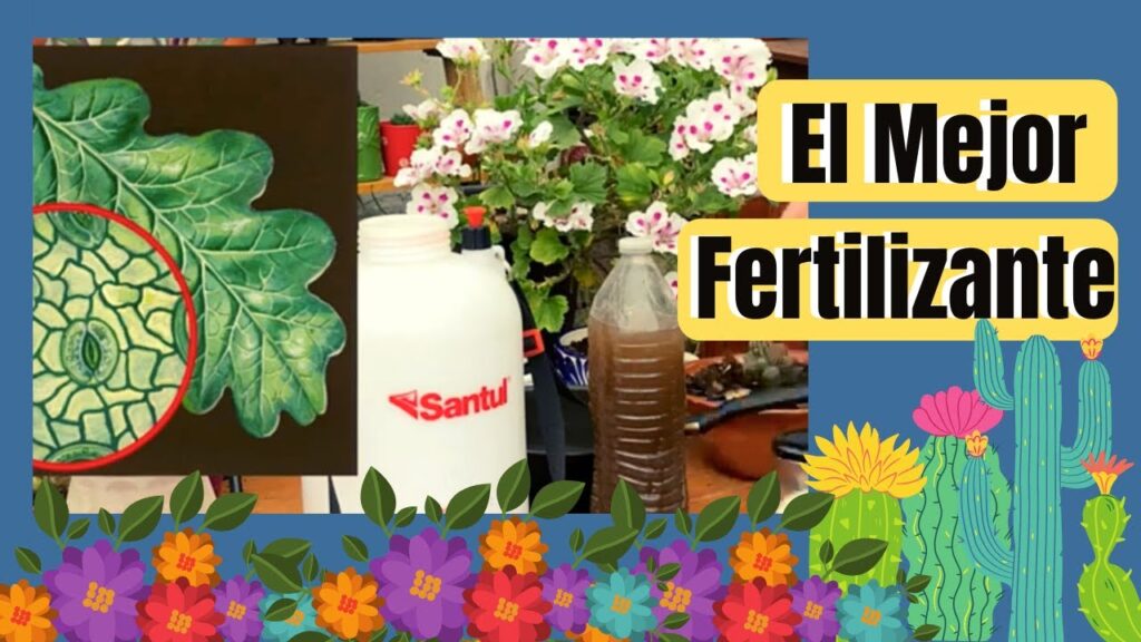 Los mejores fertilizantes para plantas de hortalizas