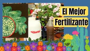Los-mejores-fertilizantes-para-plantas-de-hortalizas