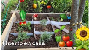 Como-crear-un-jardin-de-plantas-comestibles-para-hacer-tus-propias-ensaladas