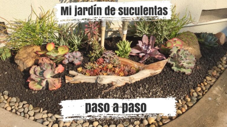 Guía Completa Cómo Crear Un Jardín De Suculentas En Casa Paso A Paso Jardineria Lloret Garden 2342