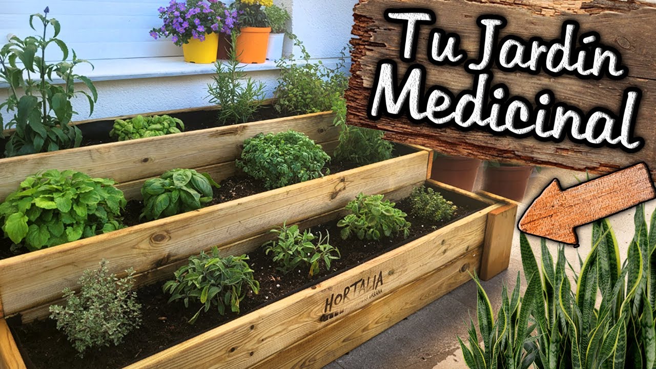 Como hacer un jardin de plantas medicinales en casa