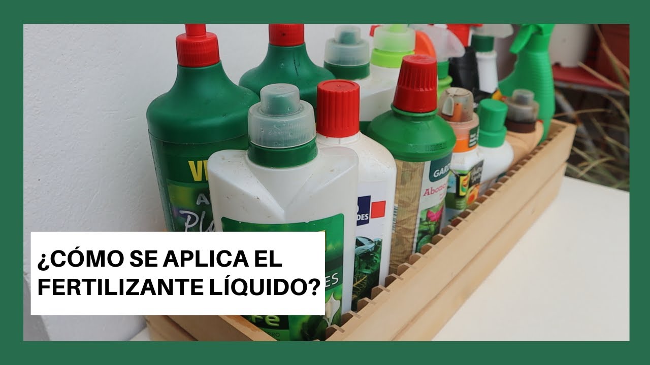 Los beneficios de utilizar abono liquido para tus plantas de interior y