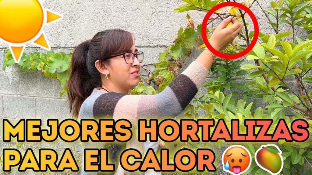 Las plantas que mejor se adaptan a los climas secos y calidos
