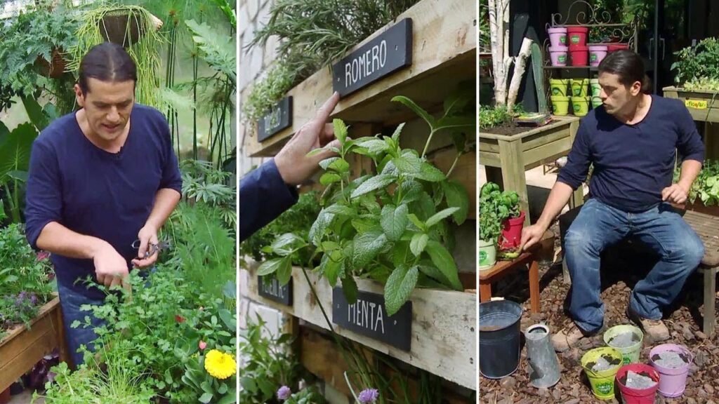 Como cultivar un jardin de hierbas aromaticas en casa