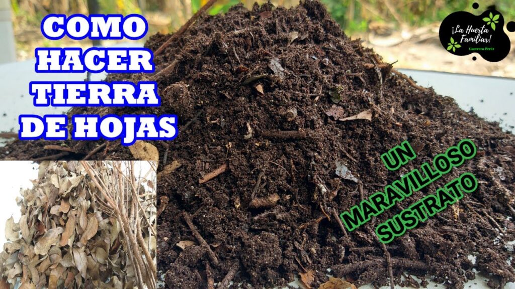 Como hacer abono de te de compost de hojas de hierba para tus plantas de jardin