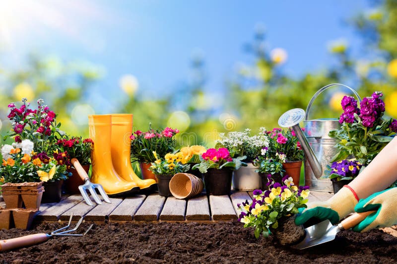 jardineria profesional para comunidades 1