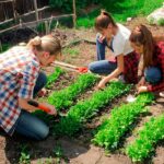 Mantenimiento de Jardines en Sant Hilari Sacalm