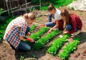 jardineria-profesional-para-comunidades