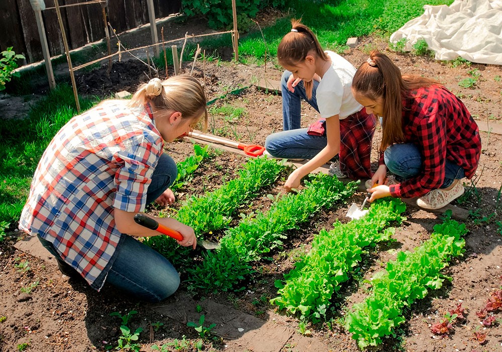 jardineria profesional para comunidades
