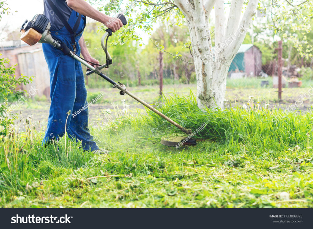 jardineria profesional y servicios variados