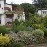 Mantenimiento de Jardines en Sant Vicenç de Montalt